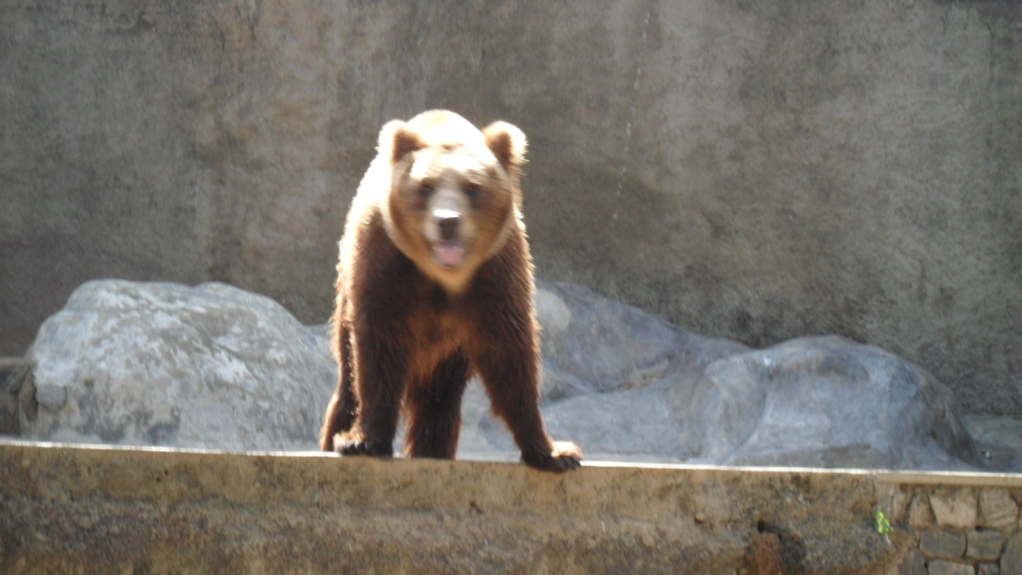 colombo zoological gardens